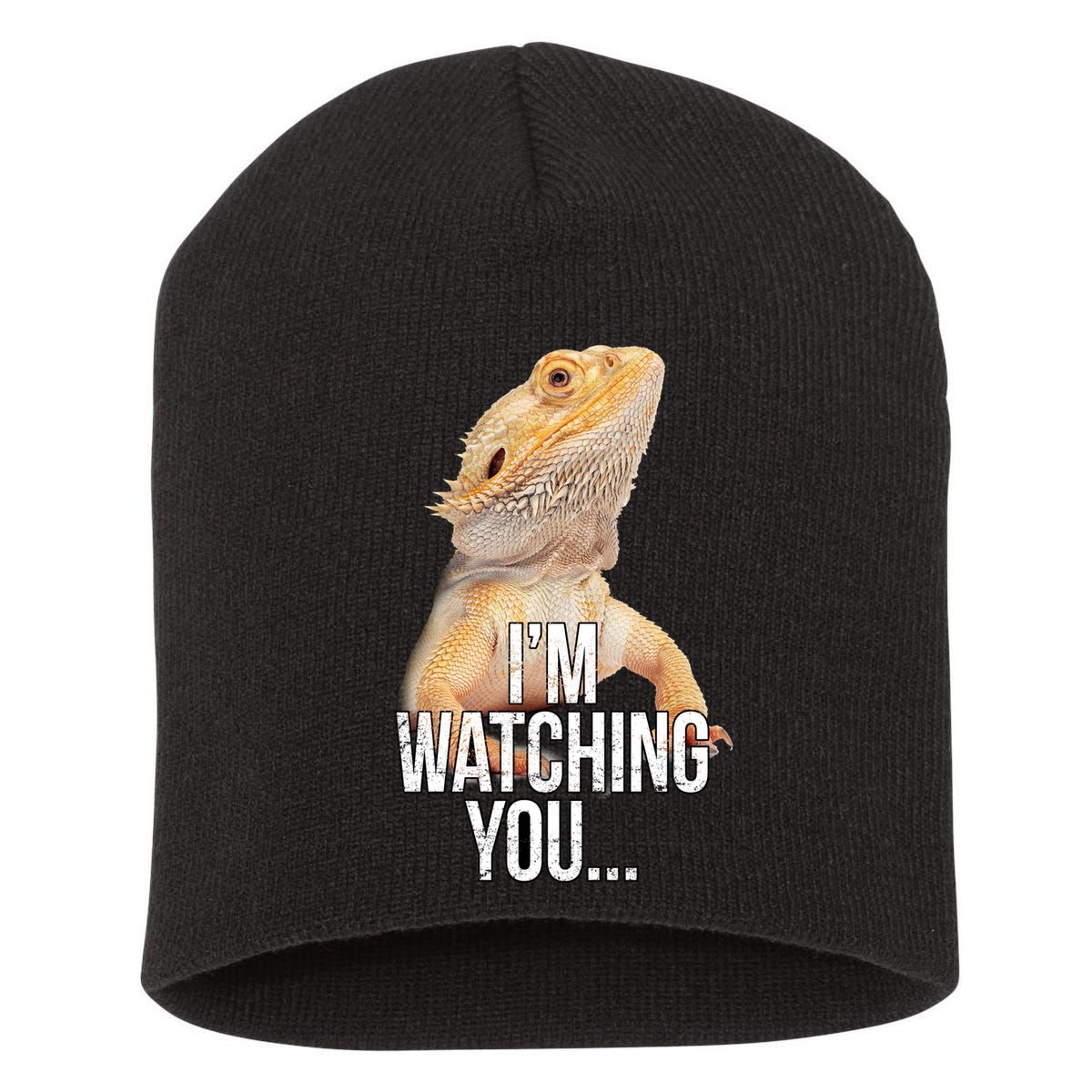 I'm watching you... Short Acrylic Beanie