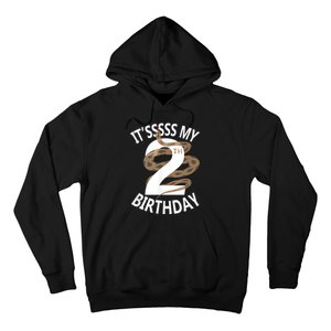 Its My 2nd Birthday 2 Years Old Snake Boy And Girl Party Hoodie