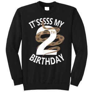 Its My 2nd Birthday 2 Years Old Snake Boy And Girl Party Sweatshirt