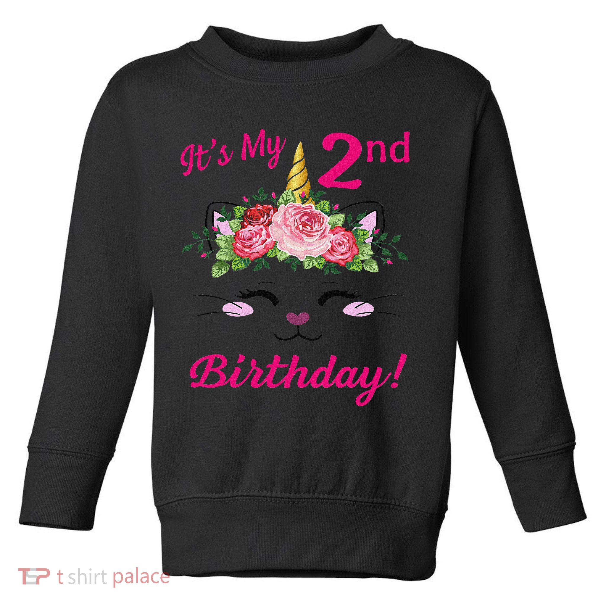 Its My 2 Birthday Caticorn Outfits For Toddler Sweatshirt
