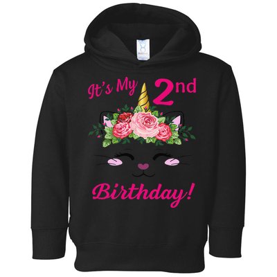 Its My 2 Birthday Caticorn Outfits For Toddler Hoodie