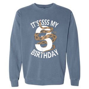 Its My 3rd Birthday 3 Years Old Snake Boy And Girl Party Garment-Dyed Sweatshirt