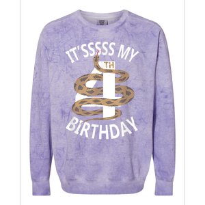 Its My 4th Birthday 4 Years Old Snake Boy And Girl Party Colorblast Crewneck Sweatshirt