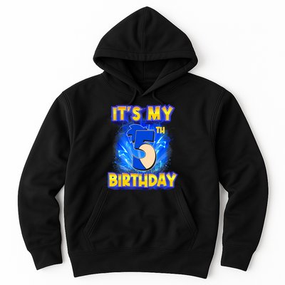 It's My 5th Birthday Hedgehog Birthday Boy 5 Years Old Kids Hoodie