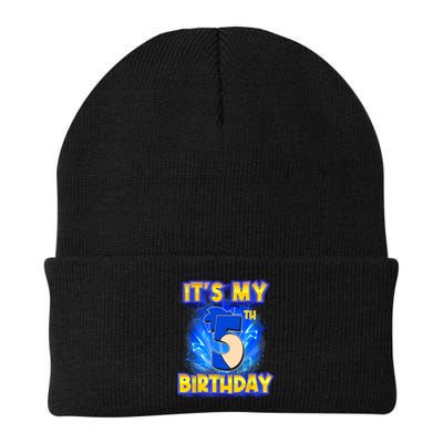 It's My 5th Birthday Hedgehog Birthday Boy 5 Years Old Kids Beanie
