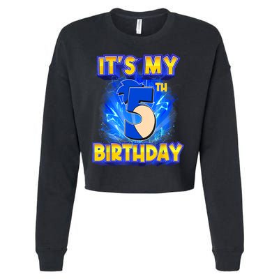 It's My 5th Birthday Hedgehog Birthday Boy 5 Years Old Kids Cropped Pullover Crew