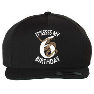 Its My 6th Birthday 6 Years Old Snake Boy And Girl Party Wool Snapback Cap