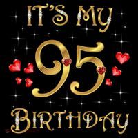 It'S My 95th Birthday 95 Years Old 95th Birthday Queen Women's V-Neck T-Shirt