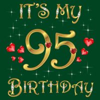 It'S My 95th Birthday 95 Years Old 95th Birthday Queen Performance Shirt