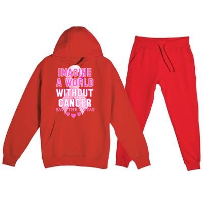 Imagine A World Without Cancer Save The Tatas Premium Hooded Sweatsuit Set