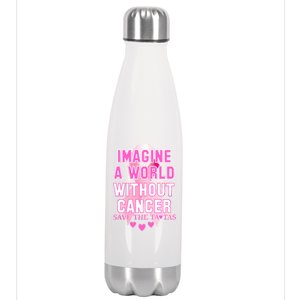 Imagine A World Without Cancer Save The Tatas Stainless Steel Insulated Water Bottle