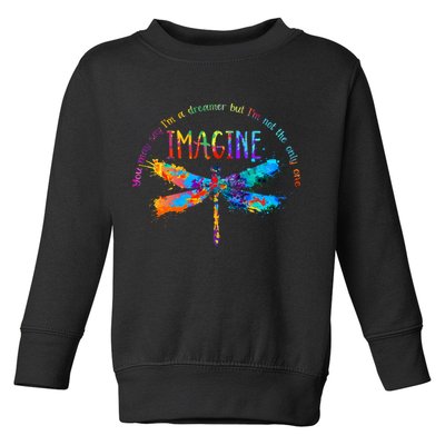 Imagine Dragonfly Dreamer Toddler Sweatshirt