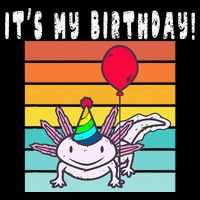 Its My Birthday Axolotl Party Hat & Balloon Cooling Performance Crew T-Shirt