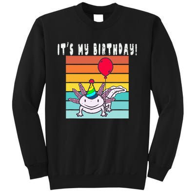 Its My Birthday Axolotl Party Hat & Balloon Sweatshirt