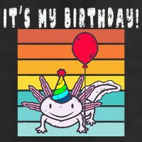 Its My Birthday Axolotl Party Hat & Balloon Adult Drive Performance Visor