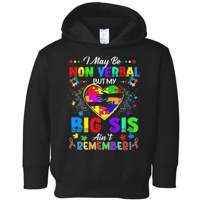 I May Be Non Verbal But My Big Sis Aint Remember Autism Toddler Hoodie