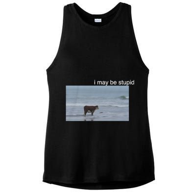 I May Be Stupid Cow On Beach Funny Meme Ladies PosiCharge Tri-Blend Wicking Tank