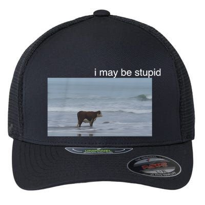 I May Be Stupid Cow On Beach Funny Meme Flexfit Unipanel Trucker Cap