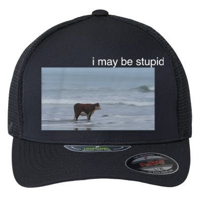 I May Be Stupid Cow On Beach Funny Meme Flexfit Unipanel Trucker Cap