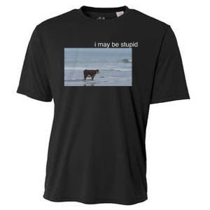 I May Be Stupid Cow On Beach Funny Meme Cooling Performance Crew T-Shirt