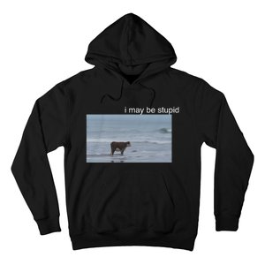 I May Be Stupid Cow On Beach Funny Meme Hoodie