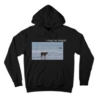 I May Be Stupid Cow On Beach Funny Meme Hoodie