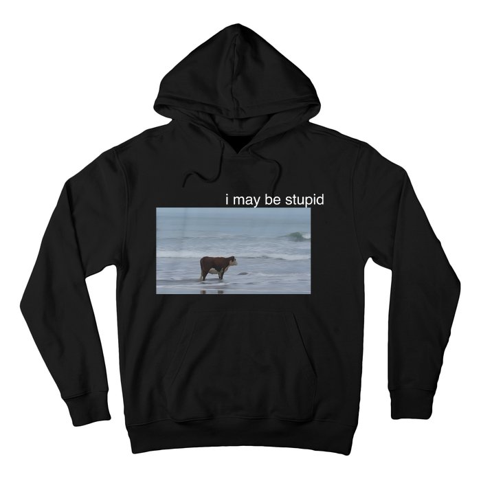 I May Be Stupid Cow On Beach Funny Meme Hoodie