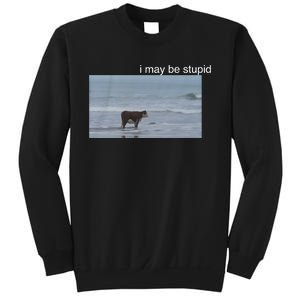 I May Be Stupid Cow On Beach Funny Meme Sweatshirt