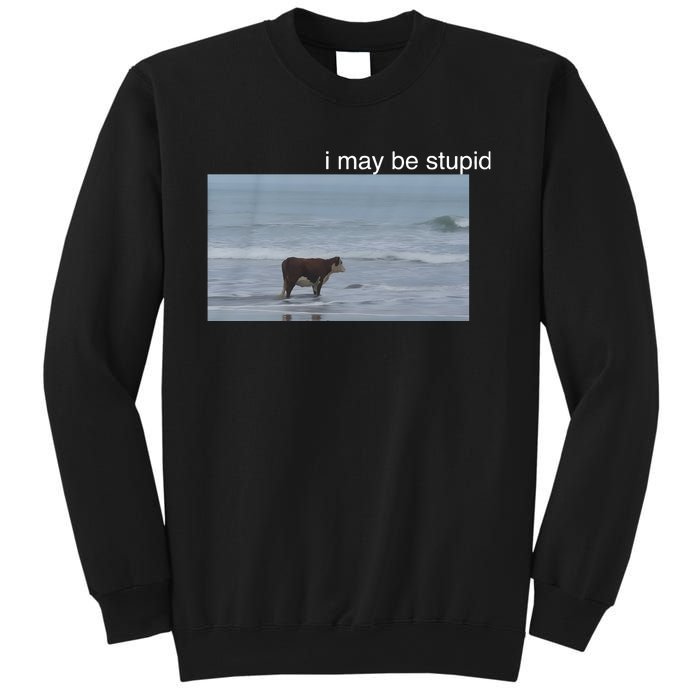 I May Be Stupid Cow On Beach Funny Meme Sweatshirt