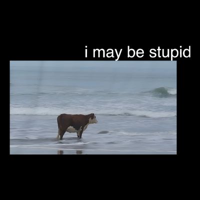 I May Be Stupid Cow On Beach Funny Meme T-Shirt
