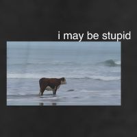 I May Be Stupid Cow On Beach Funny Meme Adult Drive Performance Visor