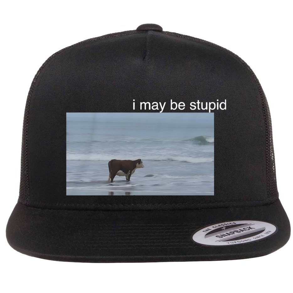 I May Be Stupid Cow On Beach Funny Meme Flat Bill Trucker Hat