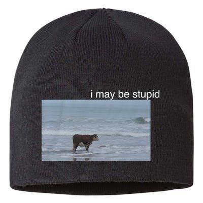 I May Be Stupid Cow On Beach Funny Meme Sustainable Beanie