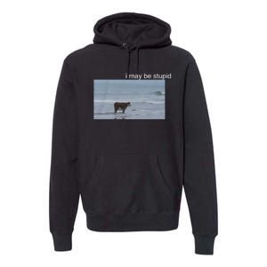 I May Be Stupid Cow On Beach Funny Meme Premium Hoodie