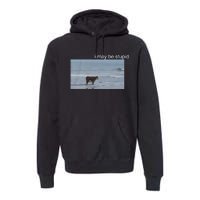 I May Be Stupid Cow On Beach Funny Meme Premium Hoodie