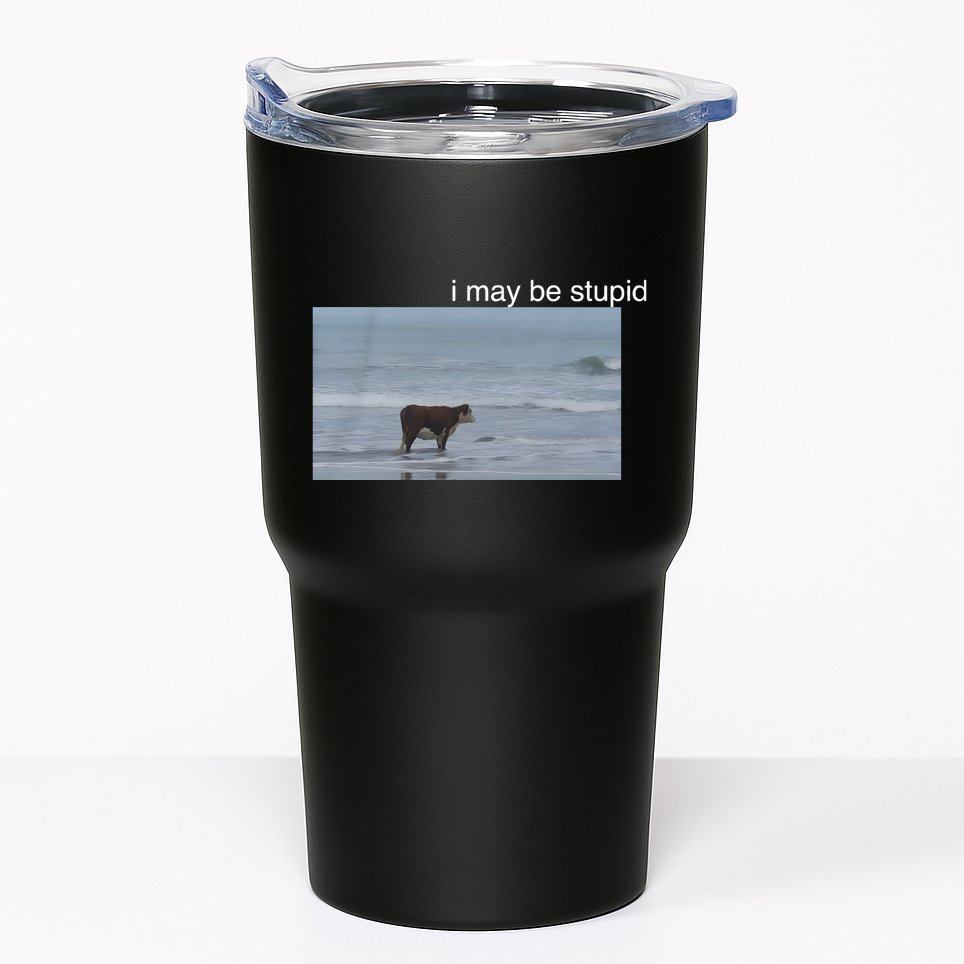 I May Be Stupid Cow On Beach Funny Meme Tumbler