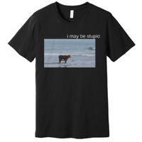 I May Be Stupid Cow On Beach Funny Meme Premium T-Shirt