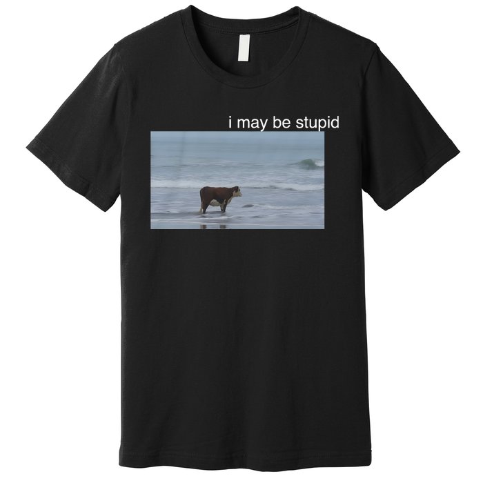 I May Be Stupid Cow On Beach Funny Meme Premium T-Shirt