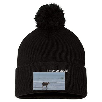 I May Be Stupid Cow On Beach Funny Meme Pom Pom 12in Knit Beanie
