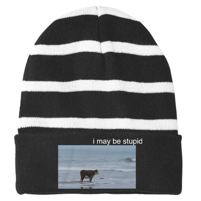 I May Be Stupid Cow On Beach Funny Meme Striped Beanie with Solid Band