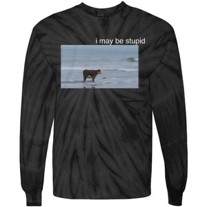 I May Be Stupid Cow On Beach Funny Meme Tie-Dye Long Sleeve Shirt