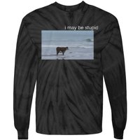 I May Be Stupid Cow On Beach Funny Meme Tie-Dye Long Sleeve Shirt