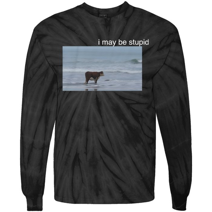 I May Be Stupid Cow On Beach Funny Meme Tie-Dye Long Sleeve Shirt