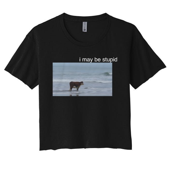 I May Be Stupid Cow On Beach Funny Meme Women's Crop Top Tee