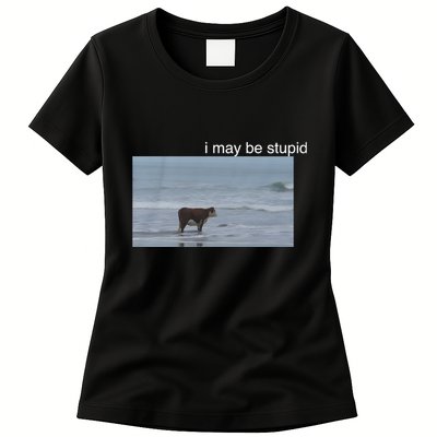 I May Be Stupid Cow On Beach Funny Meme Womens T-Shirt