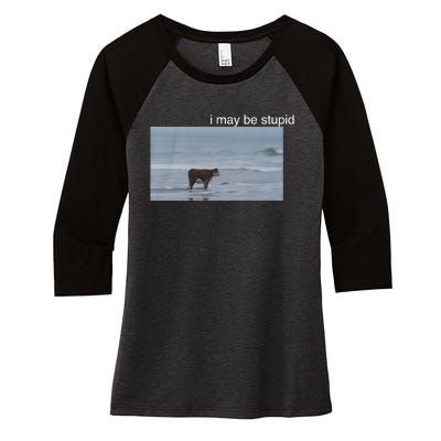 I May Be Stupid Cow On Beach Funny Meme Women's Tri-Blend 3/4-Sleeve Raglan Shirt