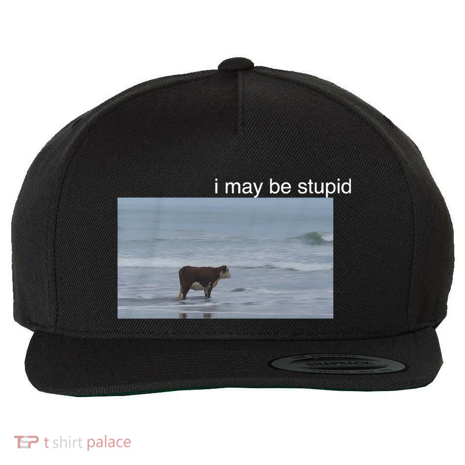 I May Be Stupid Cow On Beach Funny Meme Wool Snapback Cap