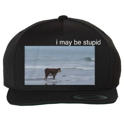 I May Be Stupid Cow On Beach Funny Meme Wool Snapback Cap