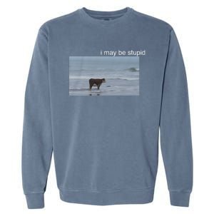 I May Be Stupid Cow On Beach Funny Meme Garment-Dyed Sweatshirt