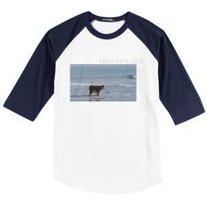 I May Be Stupid Cow On Beach Funny Meme Baseball Sleeve Shirt